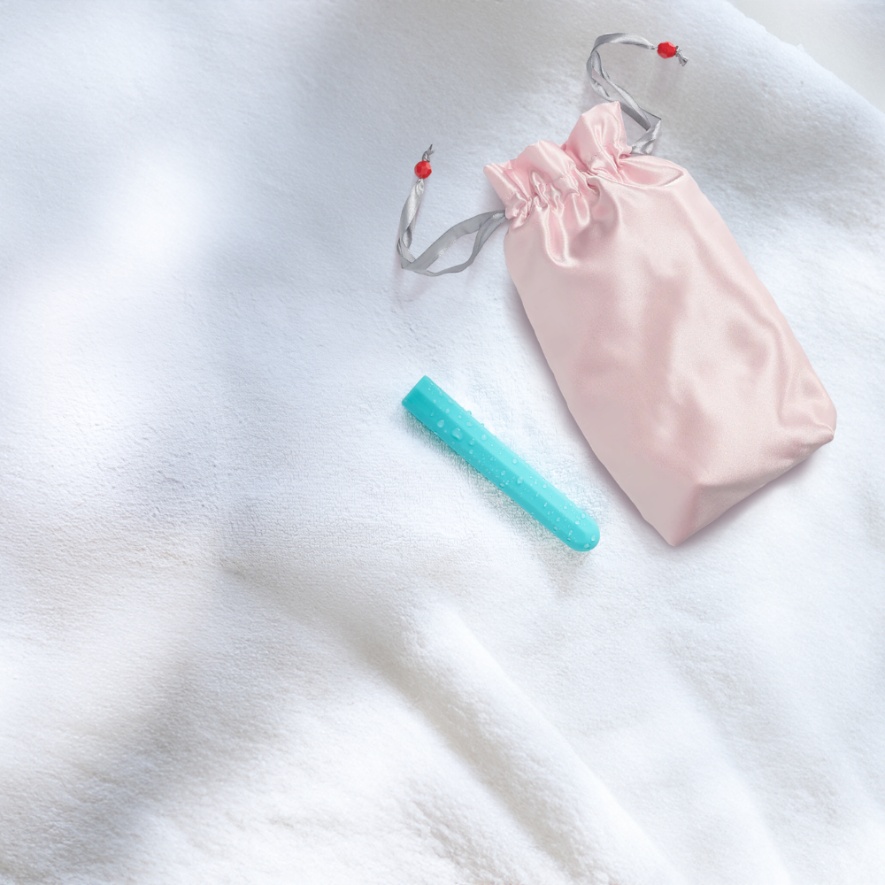 Pleasure Toy Tote - Anti Microbial Bag