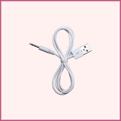 PureCharge USB Cord - E